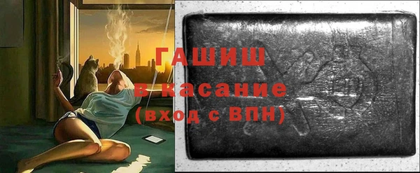 индика Весьегонск