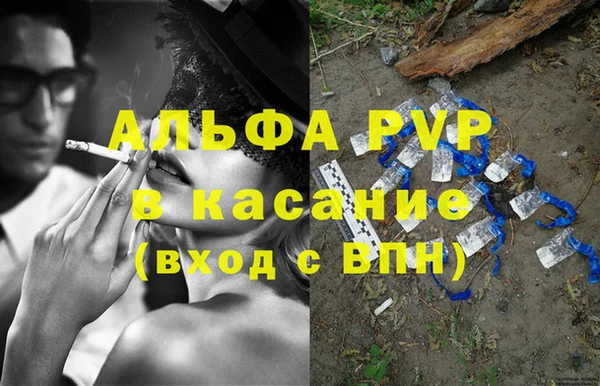 эйфоретик Гусев