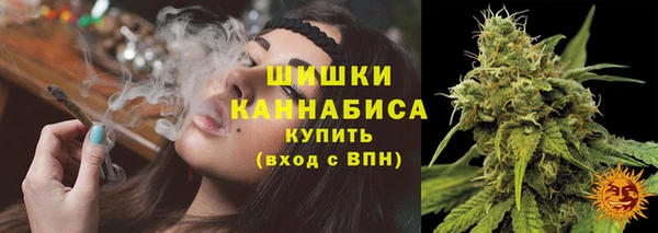 2c-b Дмитриев